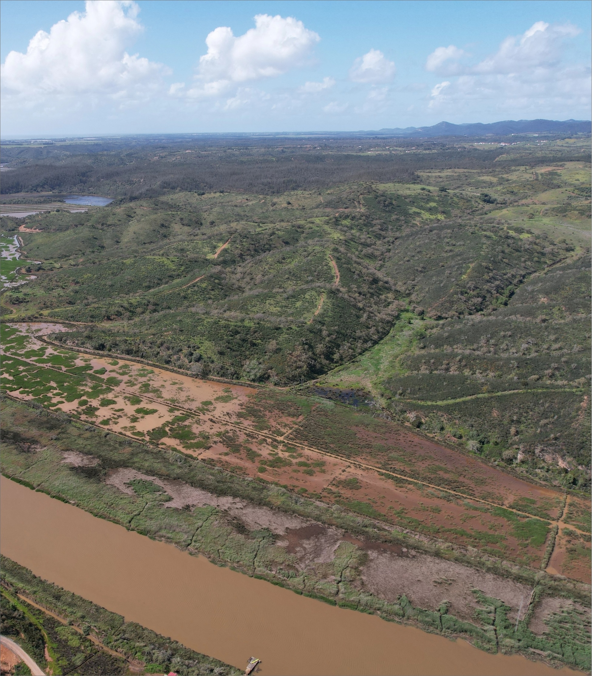 A view of the Mossy Earth land in the Mira basin